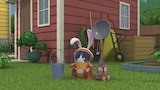 Binky Bunny