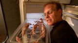Squid Pro Quo II