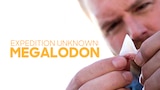 Expedition Unknown: Megaladon