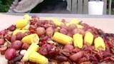Crustacean Nation IV: Crawfish