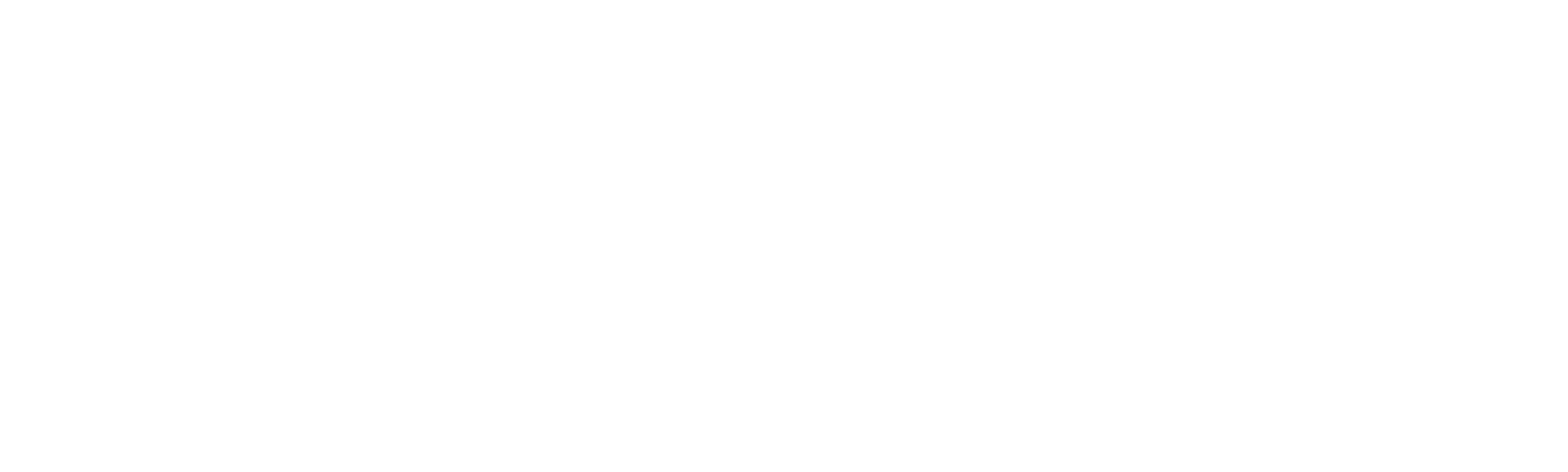 Intruso Assassino