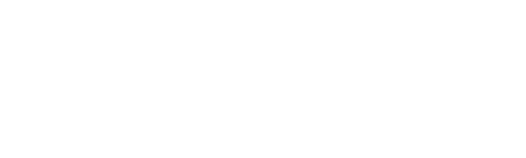 The Diana Investigations