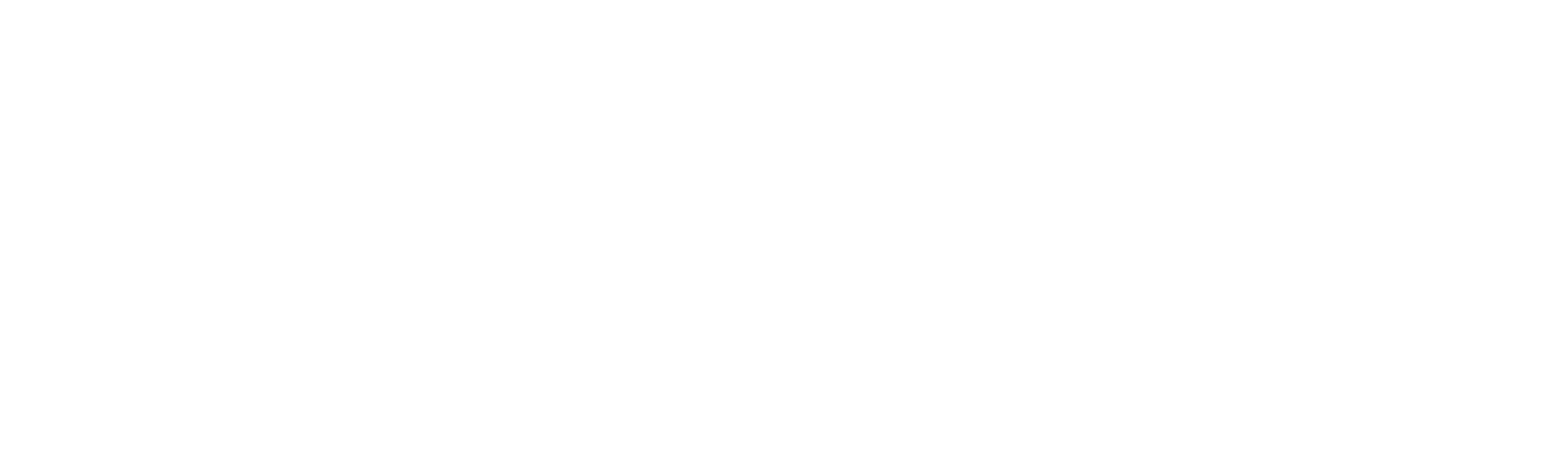 The Diana Investigations