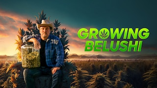 Growing Belushi