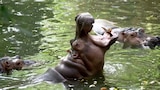 Naked and Afraid: Into the Wild (Season 2C)