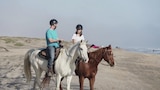 Horsing Around on South Padre Island
