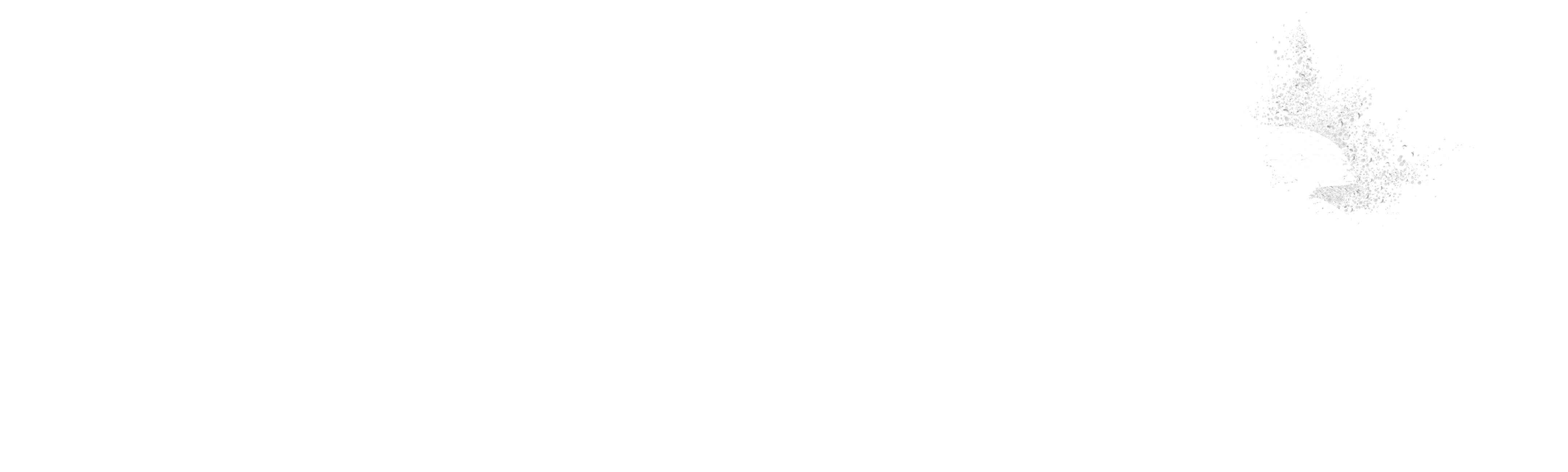 Mujeres traficantes