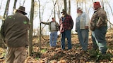 Fire Dragon of Pocahontas County