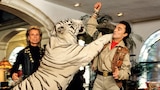 Siegfried & Roy: The Tiger Attack Part 1