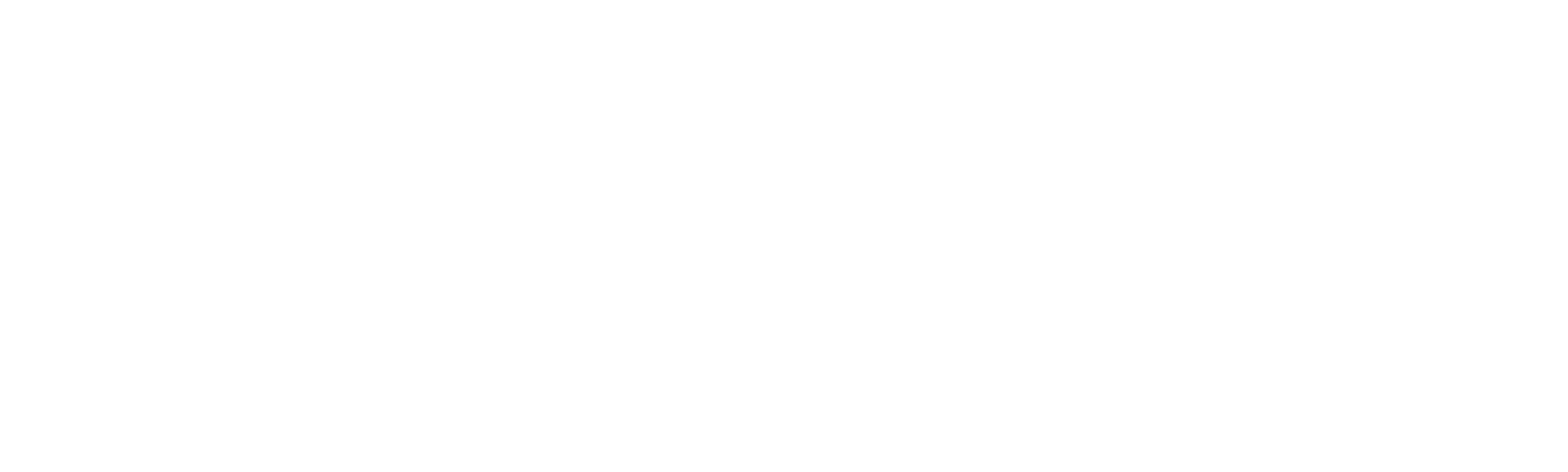 Todo en 90 días: Tania y Syngin