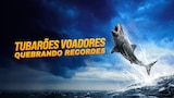 Tubarões Voadores - Quebrando Recordes