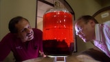 Good Wine Gone Bad