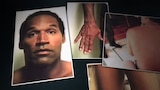 The OJ Simpson Case: Other Killer Theories Part 1