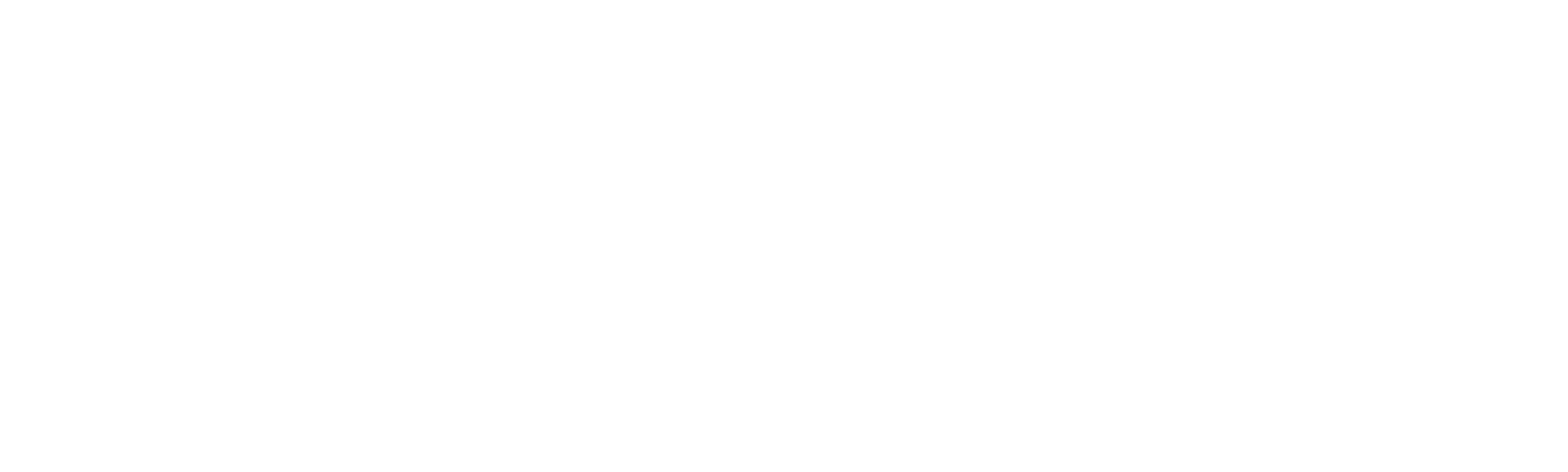 Public Artist