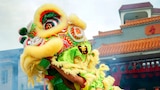 Lion Dance, Tunnel, Super Sopper