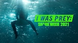 I Was Prey: Shark Week 2021