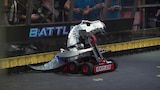 A Bull in a Bot Shop