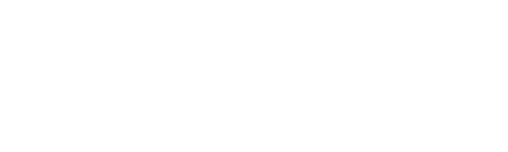 Super Wings