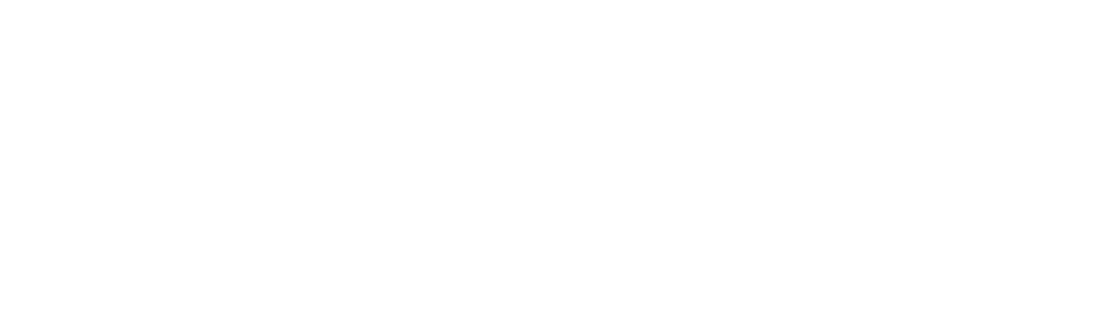 Super Wings