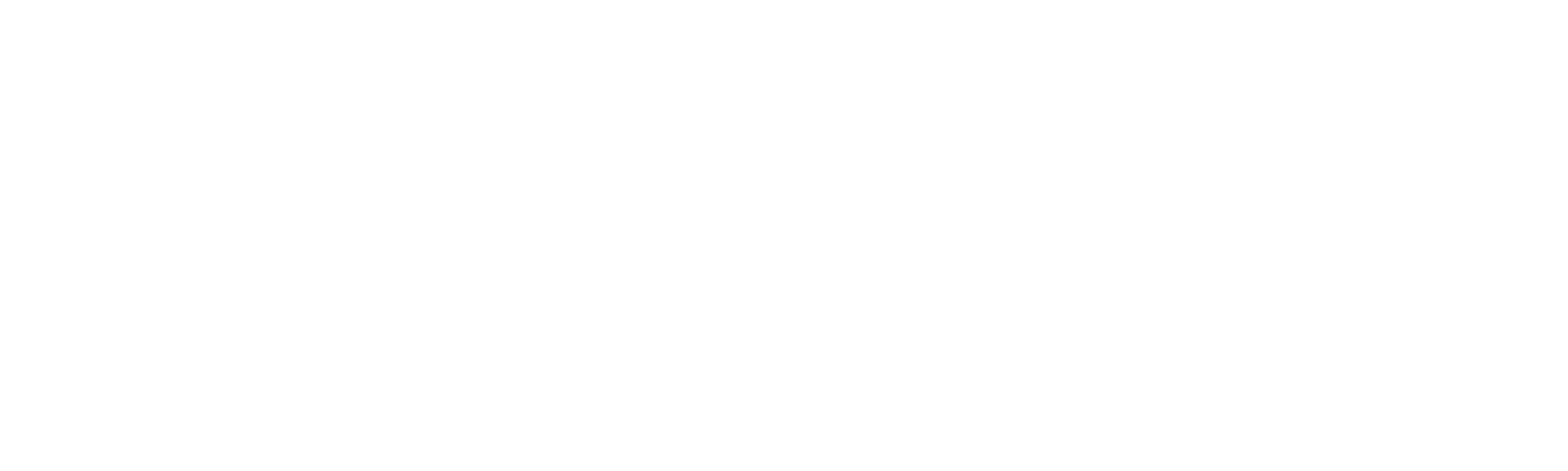 Carreras prohibidas: los mejores de Estados Unidos