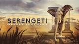 Serengeti II