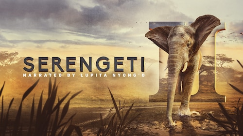 Watch Serengeti II | Season 1 Episode 4 | HBO Max