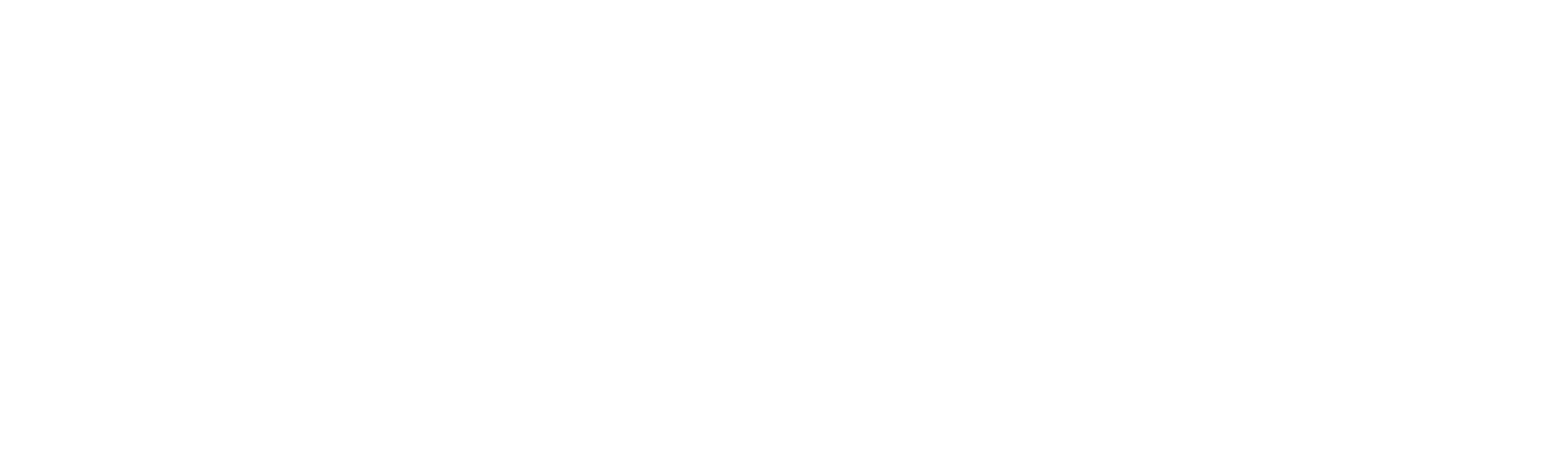 Eli Roth: terror en primera persona