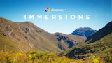 discovery+ Immersions