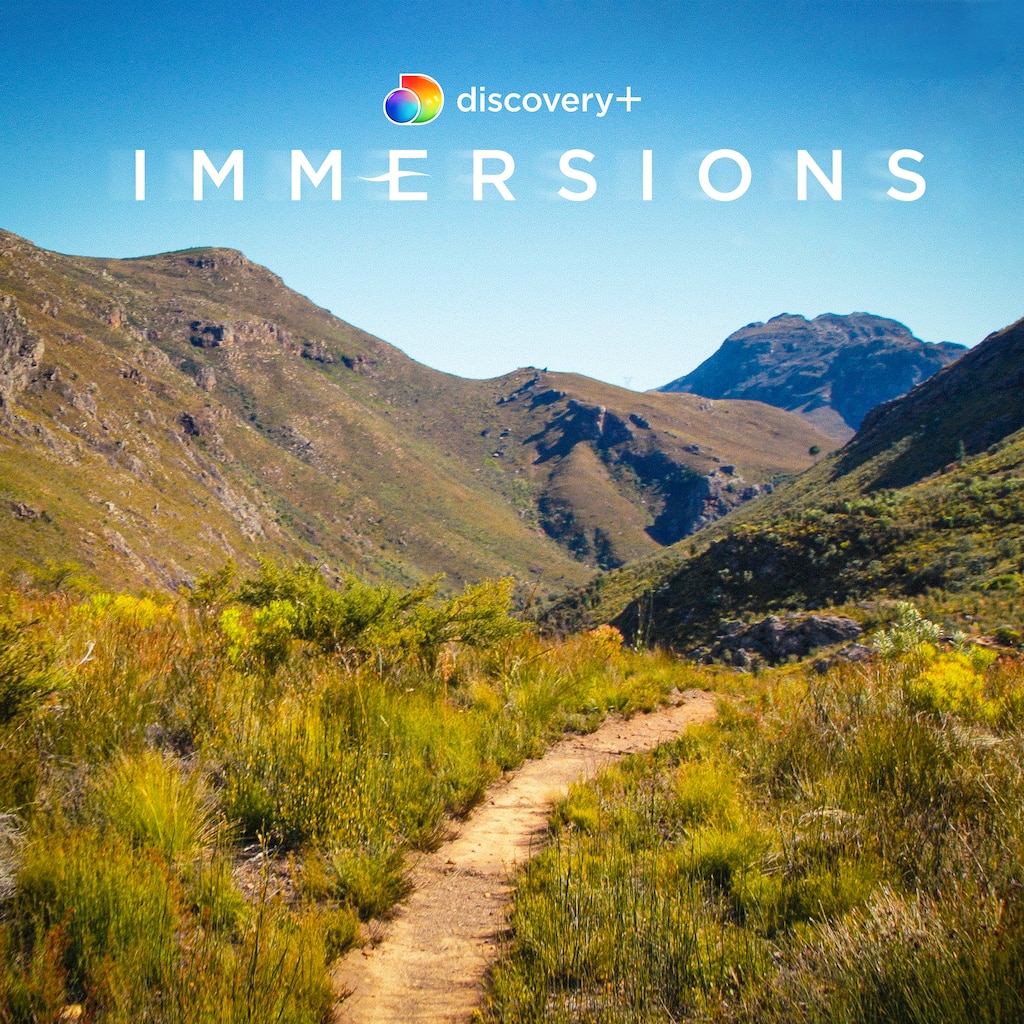 discovery+ Immersions