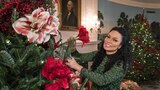 White House Christmas 2016
