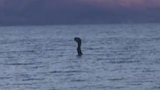Snake God of Russia