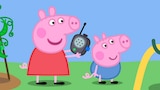 Walkie Talkies