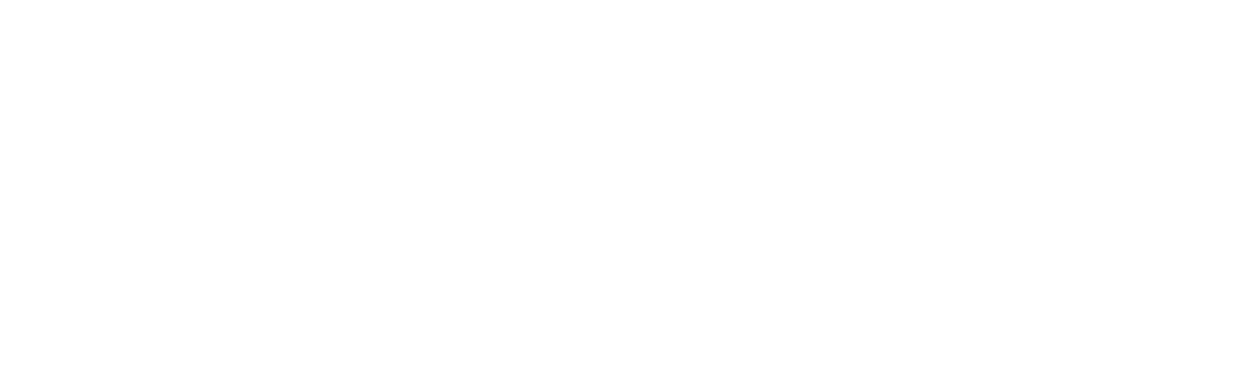 Dentro del asesinato