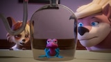 The Frog of Truth
