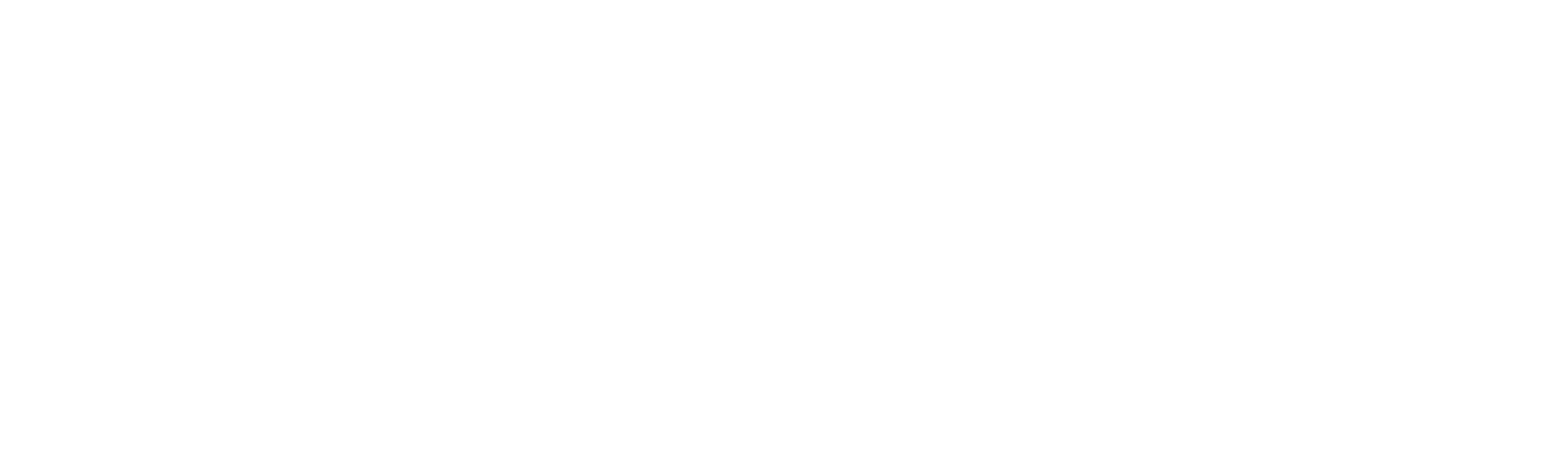 Decifrando as Evidências