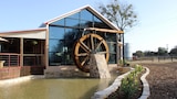 Molino de sidra de manzana Waco