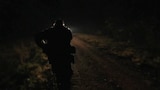 Deer in the Headlights