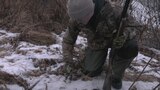 Predators and Prey
