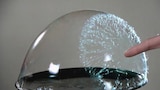 Fluid Dynamics