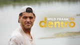 Inside Wild Frank