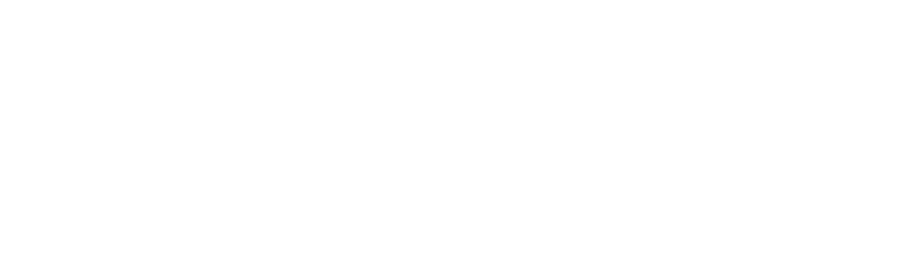 The Craftsman