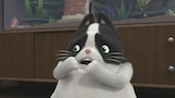 Pet Project