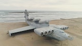 The Beached Leviathan