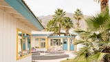 Paving the Way in Palm Springs