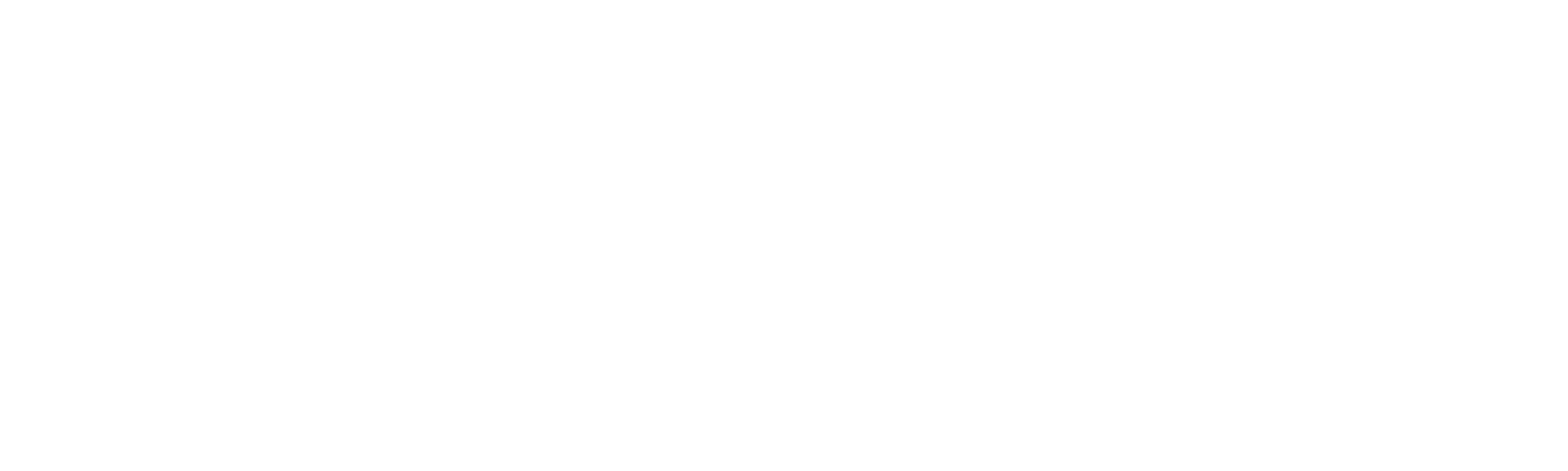 A Primeira-Dama do Estado Islâmico