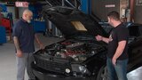 Cammer Saleen