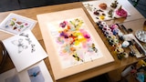 Florals, Butterflies and Insects