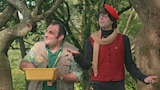 Los piratas del Zoo