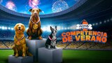 Puppy Bowl: Competencia de verano