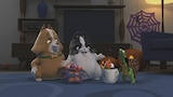 Tricky Treat Hunt